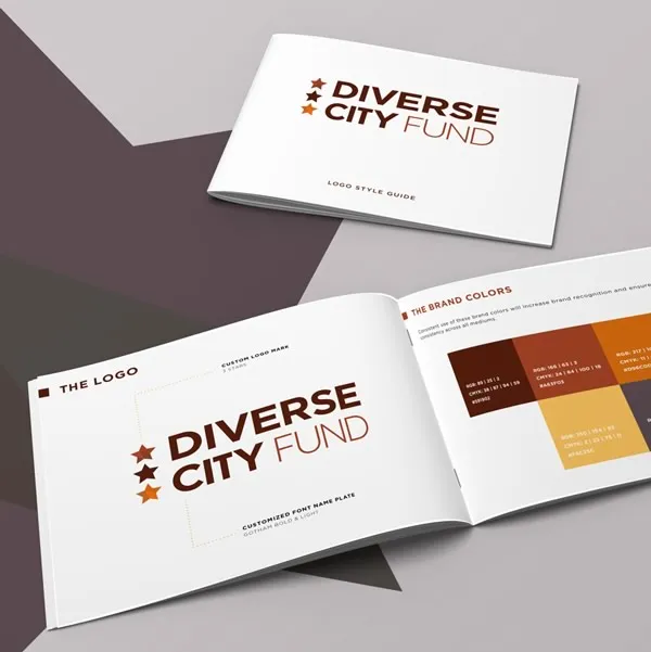 Diverse City Fund - Re-branding the Diverse City Fund 1