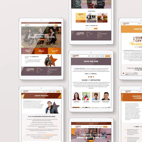 Diverse City Fund - Building A Digital Home for Community Action 4