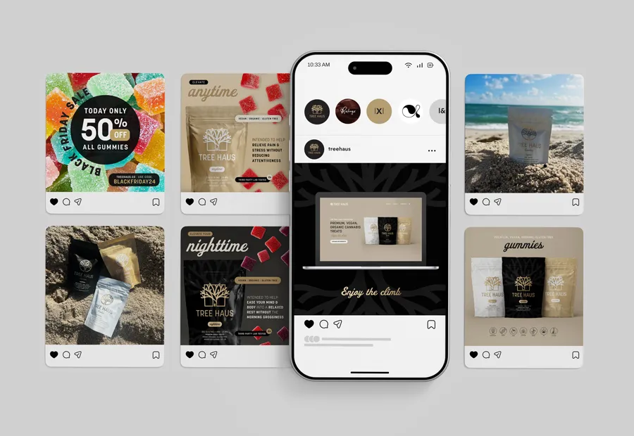 Tree Haus - From "Cannabis" to "Lifestyle Wellness" 1